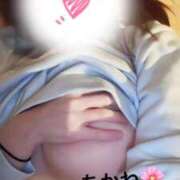 ヒメ日記 2025/04/05 23:03 投稿 雪乃あかね サクラ（すすきの）