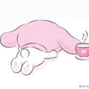 ヒメ日記 2025/04/06 19:19 投稿 雪乃あかね サクラ（すすきの）