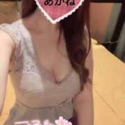 ヒメ日記 2025/04/11 20:04 投稿 雪乃あかね サクラ（すすきの）