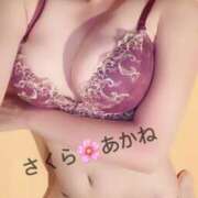 ヒメ日記 2025/04/13 07:48 投稿 雪乃あかね サクラ（すすきの）