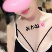 ヒメ日記 2025/04/17 08:33 投稿 雪乃あかね サクラ（すすきの）