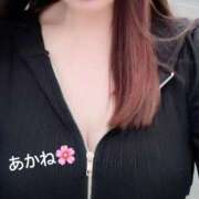 ヒメ日記 2025/04/19 07:57 投稿 雪乃あかね サクラ（すすきの）