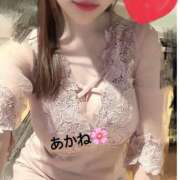 ヒメ日記 2025/04/19 19:03 投稿 雪乃あかね サクラ（すすきの）