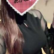 ヒメ日記 2025/04/20 16:48 投稿 雪乃あかね サクラ（すすきの）