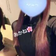 ヒメ日記 2025/04/30 01:33 投稿 雪乃あかね サクラ（すすきの）