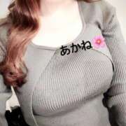 ヒメ日記 2025/05/02 20:03 投稿 雪乃あかね サクラ（すすきの）