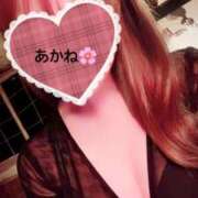 ヒメ日記 2025/05/03 01:33 投稿 雪乃あかね サクラ（すすきの）