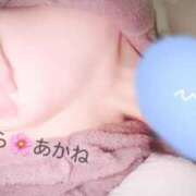 ヒメ日記 2025/05/04 10:33 投稿 雪乃あかね サクラ（すすきの）