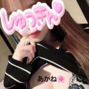 ヒメ日記 2025/05/05 17:18 投稿 雪乃あかね サクラ（すすきの）