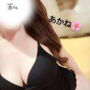 ヒメ日記 2025/05/10 15:57 投稿 雪乃あかね サクラ（すすきの）