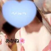 ヒメ日記 2025/05/14 21:03 投稿 雪乃あかね サクラ（すすきの）