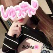 ヒメ日記 2025/05/21 11:27 投稿 雪乃あかね サクラ（すすきの）