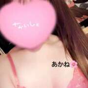 ヒメ日記 2025/05/24 07:27 投稿 雪乃あかね サクラ（すすきの）