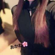 ヒメ日記 2025/05/28 08:42 投稿 雪乃あかね サクラ（すすきの）