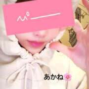 ヒメ日記 2025/06/18 15:48 投稿 雪乃あかね サクラ（すすきの）