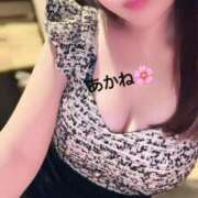 ヒメ日記 2025/06/21 12:19 投稿 雪乃あかね サクラ（すすきの）