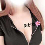 ヒメ日記 2025/06/30 12:13 投稿 雪乃あかね サクラ（すすきの）