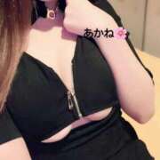 ヒメ日記 2025/07/20 01:33 投稿 雪乃あかね サクラ（すすきの）