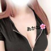 ヒメ日記 2025/07/25 23:57 投稿 雪乃あかね サクラ（すすきの）