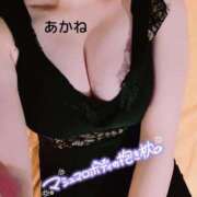 ヒメ日記 2025/07/26 01:39 投稿 雪乃あかね サクラ（すすきの）