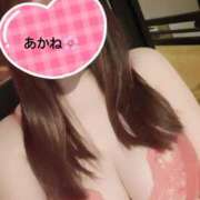 ヒメ日記 2025/07/27 10:00 投稿 雪乃あかね サクラ（すすきの）