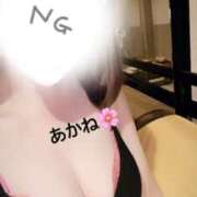 ヒメ日記 2025/07/31 08:12 投稿 雪乃あかね サクラ（すすきの）