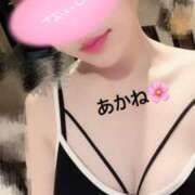 ヒメ日記 2025/08/24 17:24 投稿 雪乃あかね サクラ（すすきの）