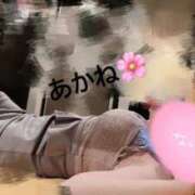 ヒメ日記 2025/09/01 01:30 投稿 雪乃あかね サクラ（すすきの）