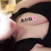 ヒメ日記 2025/09/13 11:48 投稿 雪乃あかね サクラ（すすきの）