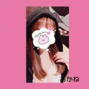 ヒメ日記 2025/09/15 03:12 投稿 雪乃あかね サクラ（すすきの）