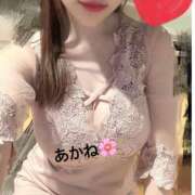 ヒメ日記 2025/10/12 11:09 投稿 雪乃あかね サクラ（すすきの）