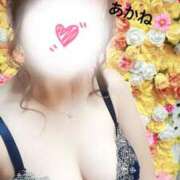 ヒメ日記 2025/10/13 18:54 投稿 雪乃あかね サクラ（すすきの）