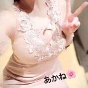 ヒメ日記 2025/10/19 09:51 投稿 雪乃あかね サクラ（すすきの）