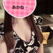 ヒメ日記 2025/10/22 15:18 投稿 雪乃あかね サクラ（すすきの）