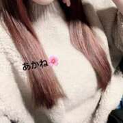 ヒメ日記 2025/11/10 13:27 投稿 雪乃あかね サクラ（すすきの）