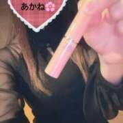 ヒメ日記 2025/11/22 20:48 投稿 雪乃あかね サクラ（すすきの）