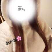 ヒメ日記 2025/11/25 12:19 投稿 雪乃あかね サクラ（すすきの）