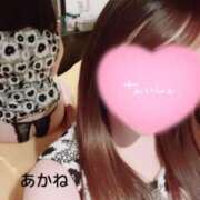 ヒメ日記 2025/11/29 23:57 投稿 雪乃あかね サクラ（すすきの）