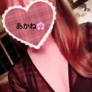 ヒメ日記 2025/12/02 17:48 投稿 雪乃あかね サクラ（すすきの）