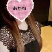 ヒメ日記 2025/12/03 22:06 投稿 雪乃あかね サクラ（すすきの）