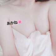 ヒメ日記 2025/12/07 14:03 投稿 雪乃あかね サクラ（すすきの）