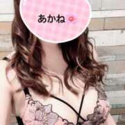 雪乃あかね 🈳枠🍒 サクラ（すすきの）