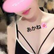 ヒメ日記 2025/12/22 22:49 投稿 雪乃あかね サクラ（すすきの）