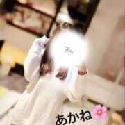 ヒメ日記 2026/01/19 20:18 投稿 雪乃あかね サクラ（すすきの）