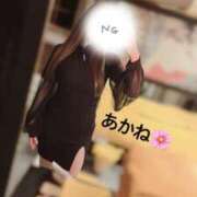 ヒメ日記 2026/02/11 06:42 投稿 雪乃あかね サクラ（すすきの）