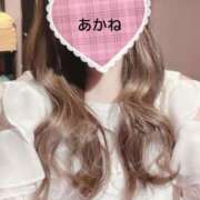 ヒメ日記 2026/03/07 16:48 投稿 雪乃あかね サクラ（すすきの）