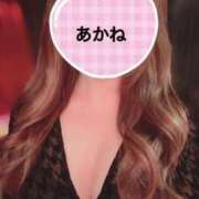ヒメ日記 2026/04/19 19:33 投稿 雪乃あかね サクラ（すすきの）