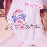 ヒメ日記 2026/05/04 19:33 投稿 雪乃あかね サクラ（すすきの）