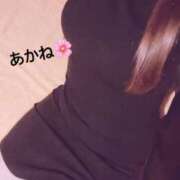 雪乃あかね 𝑇ℎ𝑎𝑛𝑘𝑦𝑜𝑢 サクラ（すすきの）