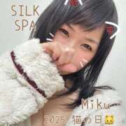 ヒメ日記 2025/02/23 20:21 投稿 みく SILK SPA福岡店